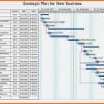 Überraschen Bank Statement Template Excel 2007 Best Rapportzettel