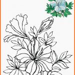 Überraschen Blumen Vorlagen 1 Flower Coloring