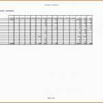 Überraschen Finanzplan Vorlage Für Businessplan Excel Kostenlos