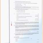 Überraschen Genial Abmahnung Mieter Vorlage