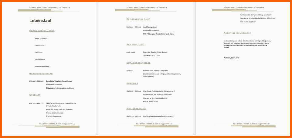 Überraschen Lebenslauf Libreoffice Openoffice Muster Vorlage