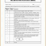 Überraschen Mental Status Exam Template