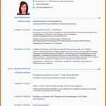 Überraschen Neueste Europass Lebenslauf Vorlage Word Download Europass