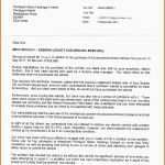 Überraschen Neueste Lebenslauf Einfach Kostenlos Betriebsanleitung