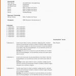 Überraschen Protokoll Vorlage Word &amp; Excel Kostenlos