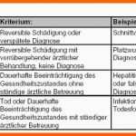 Überraschen Risikobewertung Festlegung Der Risikobewertungsmaßstäbe