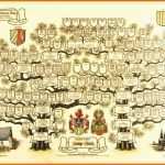 Überraschen Stammbaum Erstellen Lassen Ahnenforschung Pro Heraldica