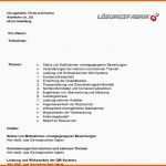 Überraschen Vorlage Managementbewertung Managementreview Nach iso