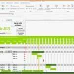 Ungewöhnlich 8 Risikobeurteilung Vorlage Excel Ulyory Tippsvorlage In