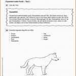Ungewöhnlich Arbeitsblatt Hund Klasse 5 Referat Vorlage Grundschule 2