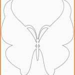 Ungewöhnlich butterfly Template butterfly Templates