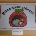 Ungewöhnlich Cavialand Schild "bitte Nicht Stören"