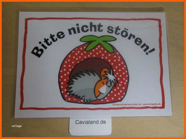 Ungewöhnlich Cavialand Schild "bitte Nicht Stören ...