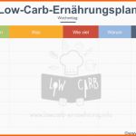 Ungewöhnlich Ernährungstagebuch Vorlage Zum Ausdrucken