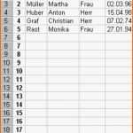 Ungewöhnlich Excel Vorlage Steuererklrung Erstaunliche Excel Vorlage