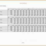 Ungewöhnlich Finanzplan Vorlage Für Businessplan Excel Kostenlos