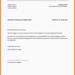 Ungewöhnlich Kündigung Mitgliedschaft Vorlage Text Word