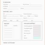 Ungewöhnlich Partnervermittlung 1und1