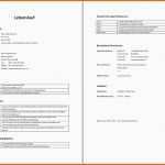 Ungewöhnlich Tabellarischer Lebenslauf Muster Aufbau Word Vorlage