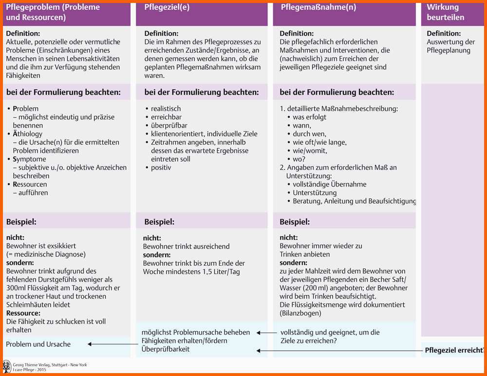 Unglaublich 10 Pflegeprozess Und Pflegeplanung Pflegepädagogik