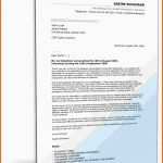 Unglaublich 17 Steckbrief Vorlage