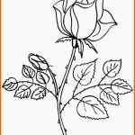 Unglaublich Ausmalbilder Erwachsene Rosen Archives Elinazurlofrei