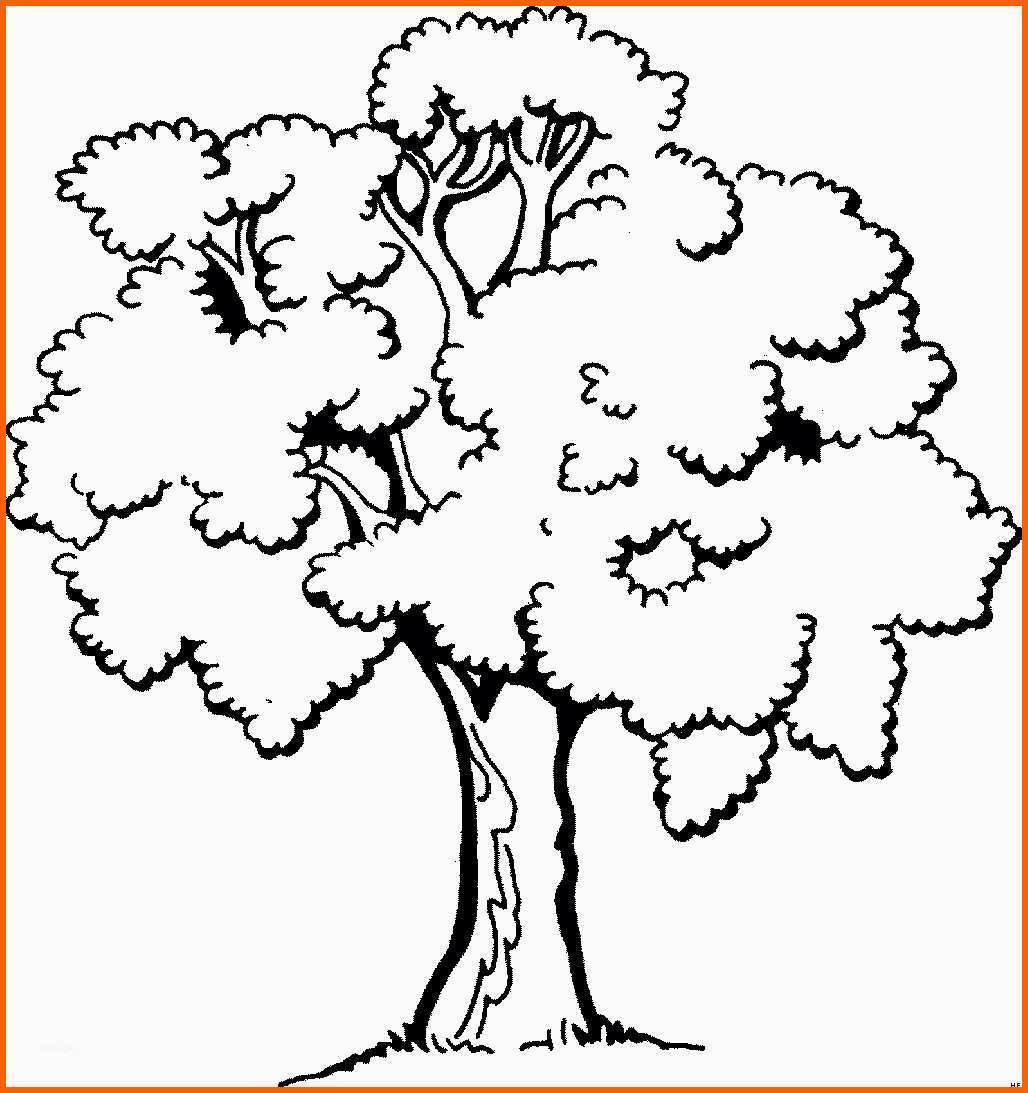 Unglaublich Baum Ausmalbild & Malvorlage Blumen In Baum Malen
