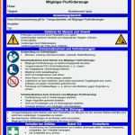 Unglaublich Betriebsanweisung Vorlage Word Angenehm tolle