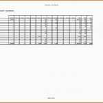 Unglaublich Finanzplan Vorlage F R Businessplan Excel Kostenlos – De Excel