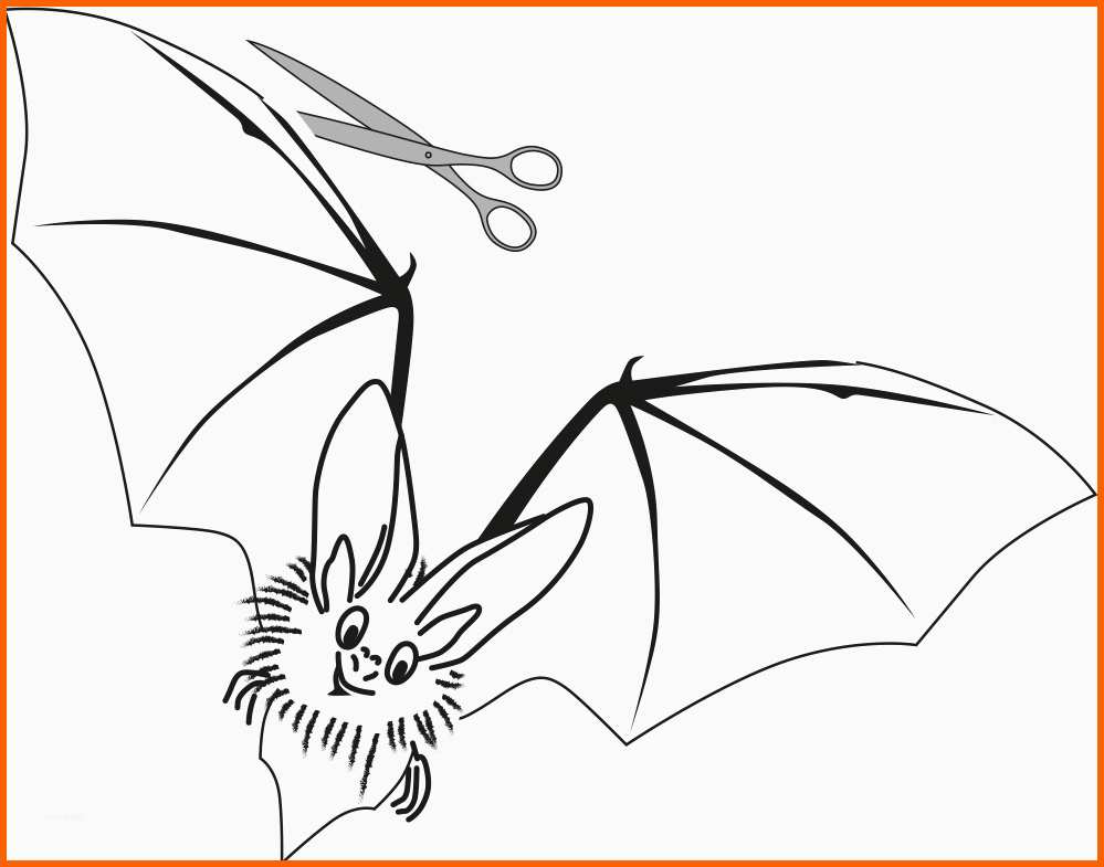 Unglaublich Fledermaus Vorlage Ausschneiden