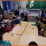 Unglaublich Grundschule Hahle Ein Baum Voller Leben Bastelvormittag