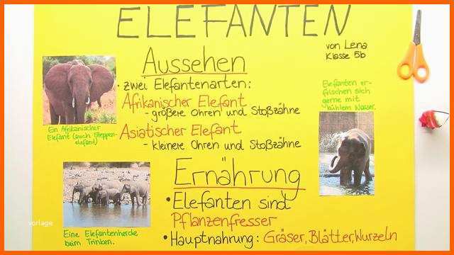 Unglaublich Plakat Gestalten – In 6 Minuten Zum Perfekten Ergebnis