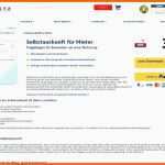 Unglaublich Selbstauskunft Mieter Vorlage