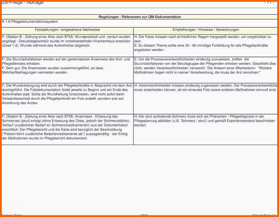 Unvergesslich 13 Pflegeplanung Muster