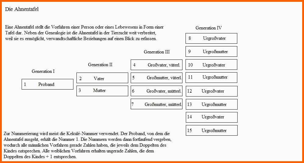 Unvergesslich Ahnentafel Vorlage Vorlagen Frei Gestalten