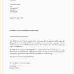 Unvergesslich Bewerbung Ausbildung Vorlage 6 Second Resume Template