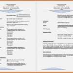 Unvergesslich Lebenslauf Schreiben Vorlage Schön 6 Bewerbung Schreiben