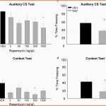 Unvergesslich Mini Mental Test Vorlage Very Psychiatric Report Template