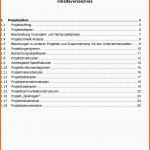 Unvergesslich Muster Projekthandbuch Pdf