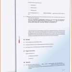 Unvergesslich Tätigkeitsbericht Gemeinnütziger Verein Muster
