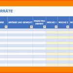 Unvergleichlich 10 Inventarliste Excel Vorlage