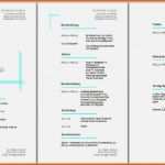Unvergleichlich 20 Lebenslauf Vorlage Open Office