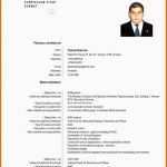 Unvergleichlich 5 Curriculum Vitae European format Word