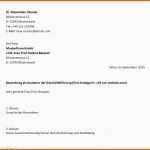 Unvergleichlich Bewerbungsschreiben Muster