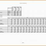 Unvergleichlich Finanzplan Vorlage Für Businessplan Excel Kostenlos