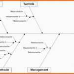 Unvergleichlich ishikawa Diagramm Beispiel Unglaubliche Ausgezeichnet