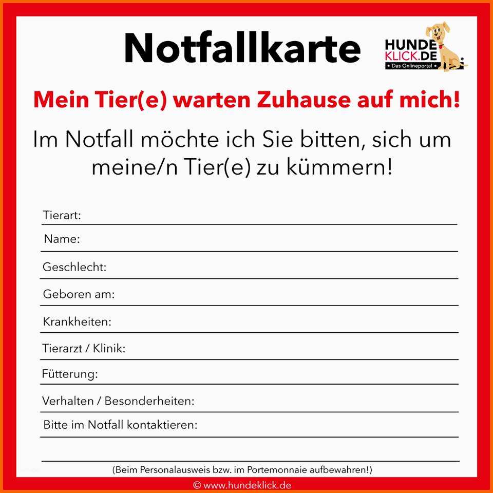 Einzigartig Gebastelt Die Schulranzen Notfallkarte Zum Download