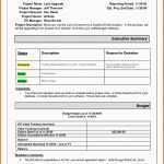 Unvergleichlich Project Management Status Report Template Excel S9sjd