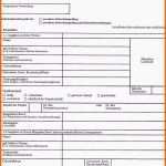 Unvergleichlich Vorlage Einverständniserklärung Eltern Ausbildung