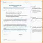 Wunderbar 11 Einfaches Arbeitszeugnis Vorlage Word